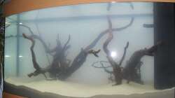 Aquarium Juwel Vision 180