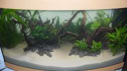 Aquarium Juwel Vision 180