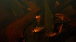 Besatz im Aquarium Some Tea Colored Water