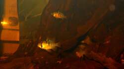 Besatz im Aquarium Some Tea Colored Water