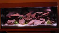 Mein Becken am 30.08.2011