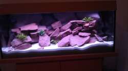 Mein Becken vor dem Erstbesatz