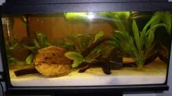 Aquarium Orinoco Flow
