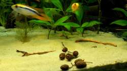 Gemeinsam auf Streifzug 03.03.2012