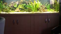 Aquarium Gesellschaft 180