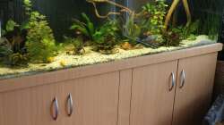 Aquarium Gesellschaft 180