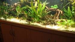 Aquarium Gesellschaft 180