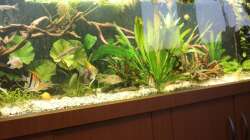 Aquarium Gesellschaft 180