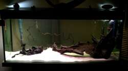 Gesamtlayout ohne Pflanzen. Nach langem Probieren hab ich mich hierfür entschieden