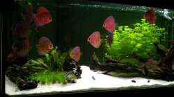 Gesamtansicht stand 04.10.11