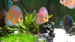 zwei der Bavaria Spottet 