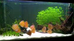 Gesamtansicht stand 04.10.2011