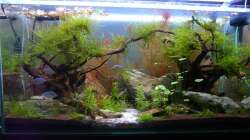 entwickelt sich ganz gut