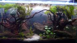 Kurz nach dem einrichten beim einlaufen