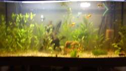 Aquarium New World Gesellschaftsbecken