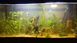 Aquarium New World Gesellschaftsbecken