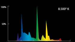 Spektrum der Tropical River Leuchtröhre