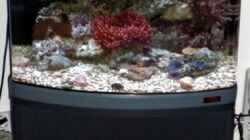 Aquarium Sera marin Biotop Cube 130
