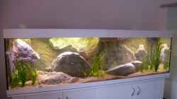 Aquarium Mein Malawisee - 1400 Liter Wohnzimmerbecken