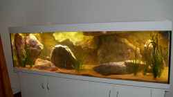 Aquarium Mein Malawisee - 1400 Liter Wohnzimmerbecken