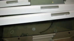 Dekoration im Aquarium Sand - und Freiwasserzone im Tanganjikasee