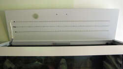 Dekoration im Aquarium Sand - und Freiwasserzone im Tanganjikasee