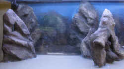 Dekoration im Aquarium Sand - und Freiwasserzone im Tanganjikasee
