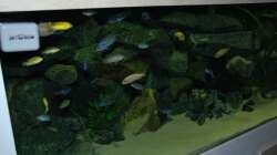 Dekoration im Aquarium "Mpanga Rocks" Nur noch als Beispiel