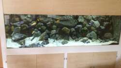 Aquarium "Mpanga Rocks" Nur noch als Beispiel