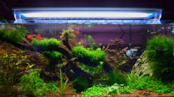 Manado Bay am 20.12.2011