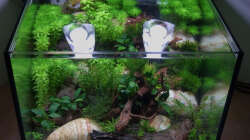 Lake Rainbow Draufsicht