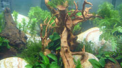 Lake Rainbow Aufbau Bild 12