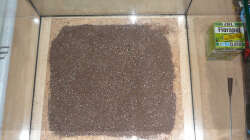 Lake Rainbow Aufbau Bild 3