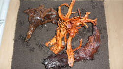 Lake Rainbow Aufbau Bild 6