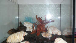 Lake Rainbow Aufbau Bild 7