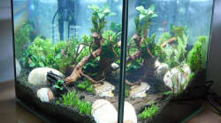 Lake Rainbow Aufbau Bild 17