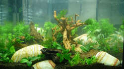 Lake Rainbow Aufbau Bild 11