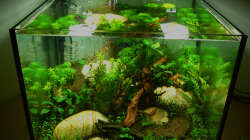 Lake Rainbow Technik