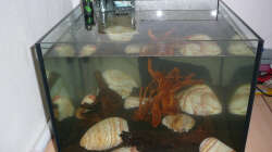 Lake Rainbow Aufbau Bild 9