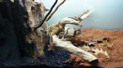 Detailblick von vorn