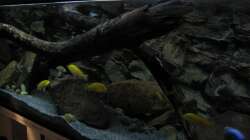 von rechts nach links