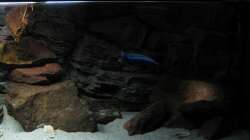 rechte Seite auch im dunkeln