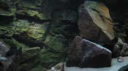 Von links nach rechts