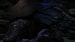 Dekoration im Aquarium Ufernahe Übergangszone