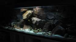 Aquarium Ufernahe Übergangszone