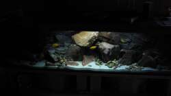 Aquarium Ufernahe Übergangszone