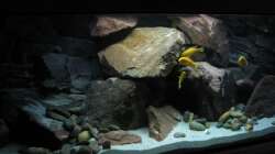 Aquarium Ufernahe Übergangszone