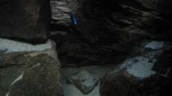 Dekoration im Aquarium Ufernahe Übergangszone