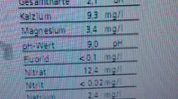 Technik im Aquarium Ufernahe Übergangszone