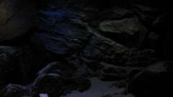 Dekoration im Aquarium Ufernahe Übergangszone